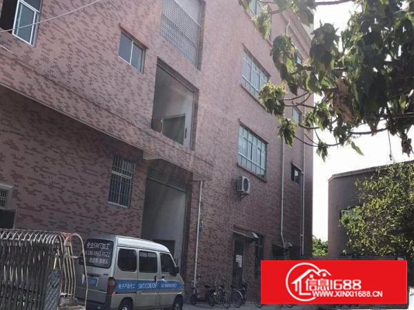 塘厦新出精装二楼厂房1206平方超实惠招租