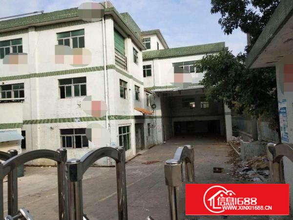 出租坪山新区坑梓厂房，价格实在，厂家直接来电，中介勿扰