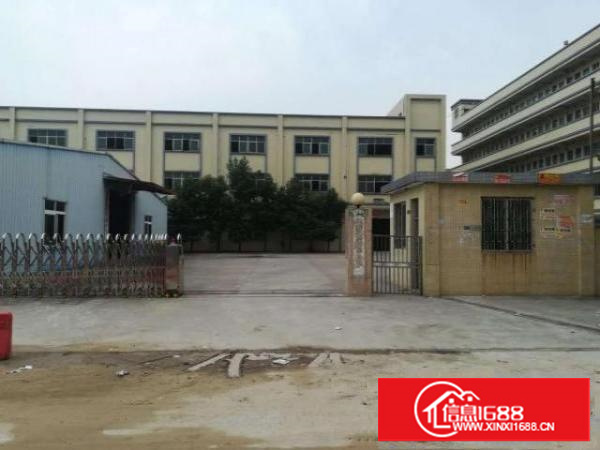 万江500平方标准独院花园式厂房出租