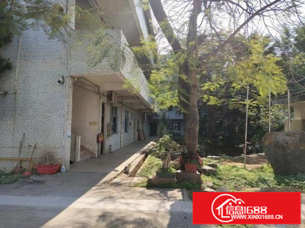 凤岗镇原房东独院钢构7500