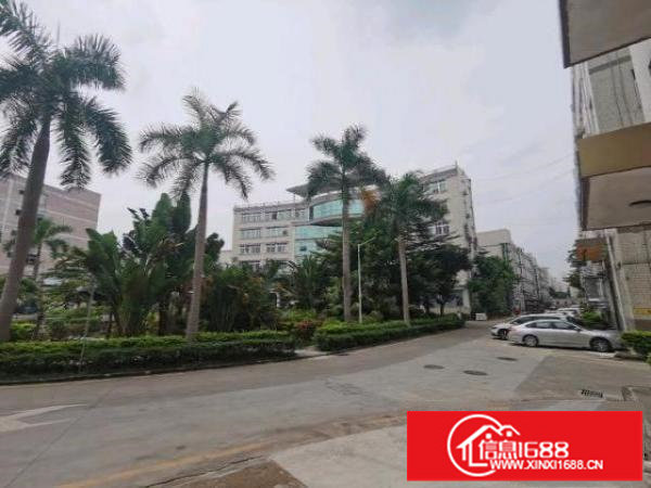 龙华大浪华霆路旁，花园式园区，交通便利，停车位充足，超大空地
