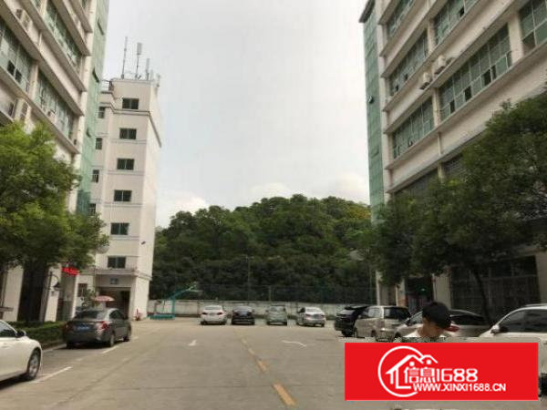 石岩龙大高速口楼上1300平豪华装修厂房出（可分租）