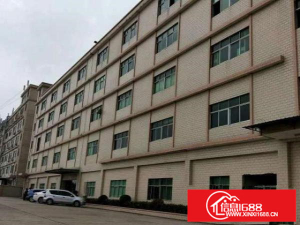 大浪德泰一楼600平方带简单装修=形象好