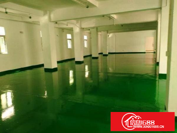 新田环观南路1楼厂房390平方