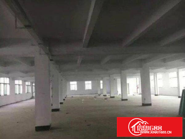 常平陈屋贝村新出精品【独门独院】一楼1500平米出租