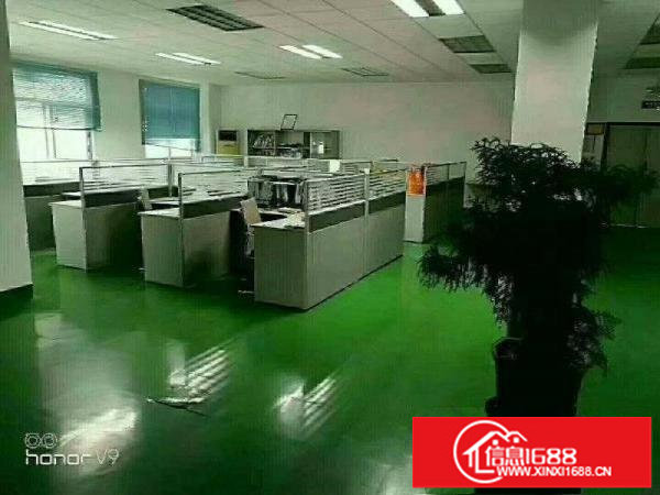 龙岗宝龙龙东4600平米独院出租，可分租