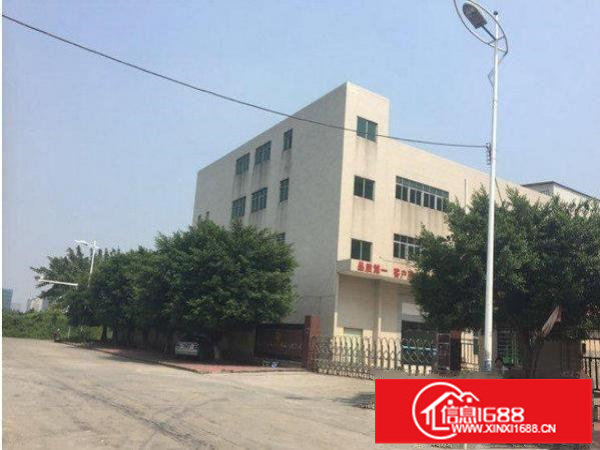 横岗四联村标准厂房一楼830平带牛角层高六米