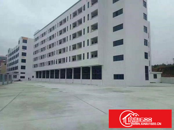 龙岗坪地原房东厂房适合高新产业电子贸易科技医疗研发等