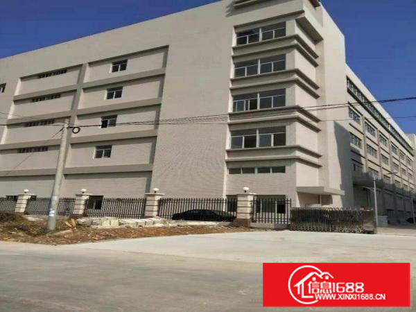 仲恺沥林原房东独门独院5层16000平米出租