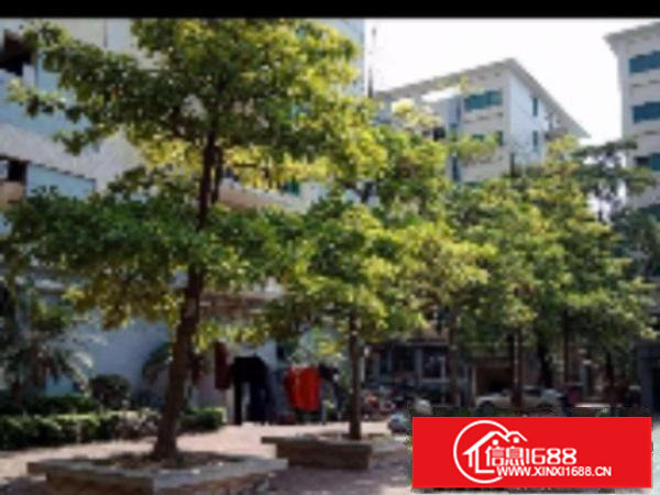 布吉丹竹头宝丹路300;500;700坪带电梯