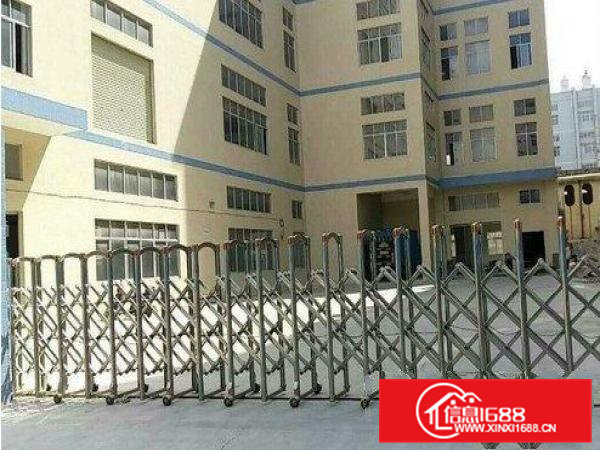 一楼1000平九成新厂房