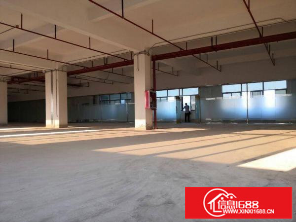 豪华玻璃幕墙工业厂房！有电梯4楼650平方厂房出租