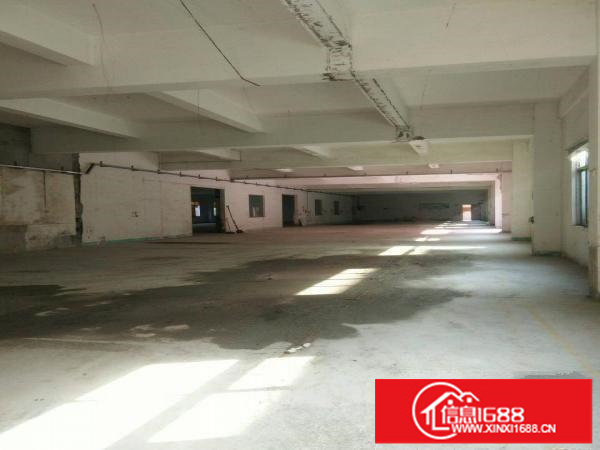 坪西市场一楼6米高独院厂房936平米