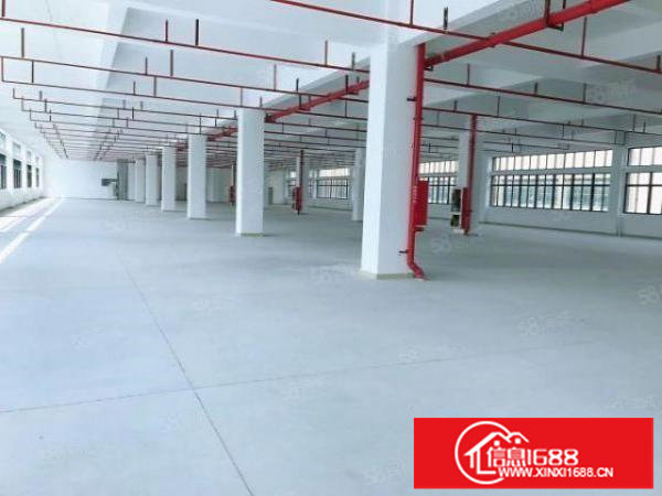 龙岗高新科技园8000平米厂房，仓库火爆招租200平米起租