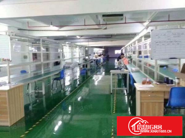 大岭山向东新出楼上1200平厂房租，现成水电精装修不用转让费