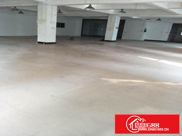 陈江镇陈江小学附近新出楼上400平无公摊