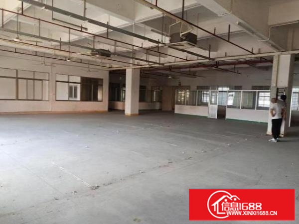 寮步西溪二楼1100平原房东厂房出租