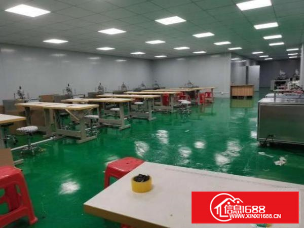 精装修800平一楼形象好