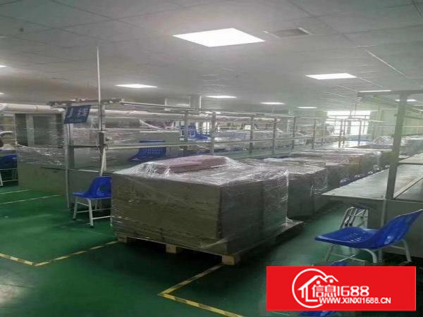 长安乌沙新空出无尘车间3150平方豪华装修，可分租