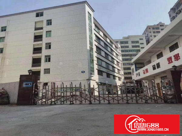 厂房出租坂田南坑新出独栋厂房6000平出租