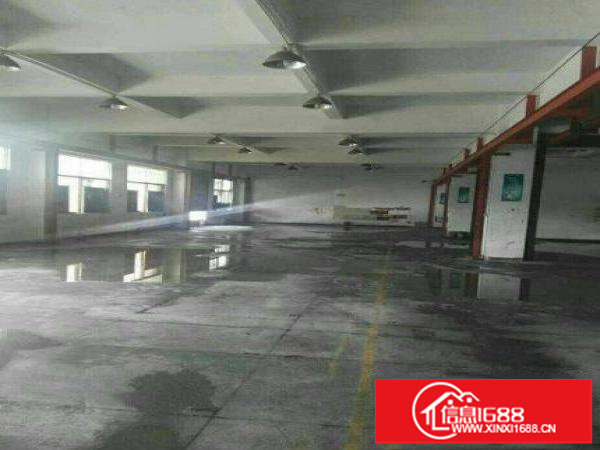 龙岗区沙荷路新出一楼500平，带行车厂房出租