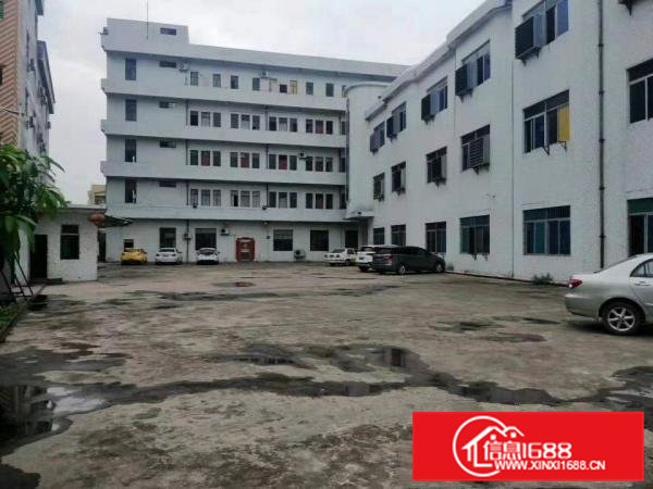 三天必租大沙村原房东独门独院4000平方厂房出租零公摊