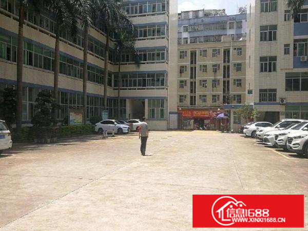 坂田杨美上雪雪象厂房200至8000平米仓库办公