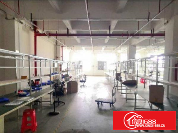 龙岗平湖广场附近小面积厂房招租，1000平方，价格实惠