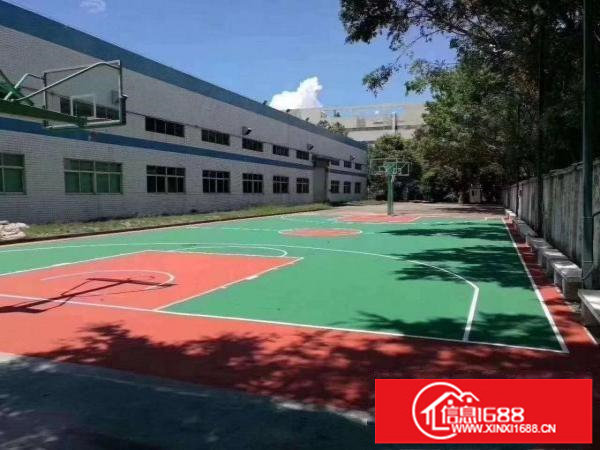 龙岗坪地原房东独门独院钢构砖墙到顶现成装修空地大