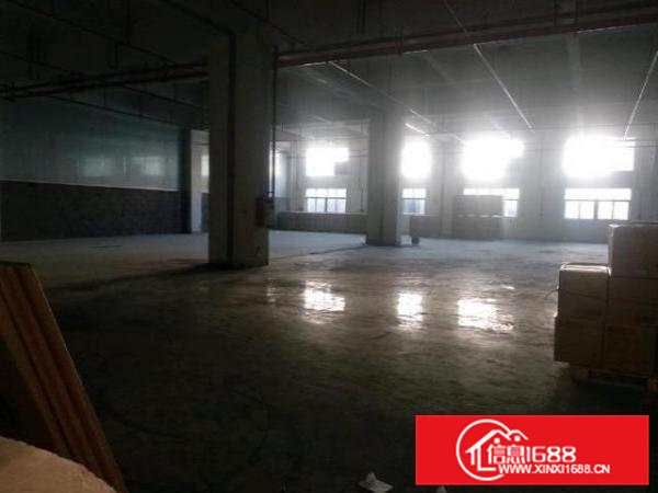 标准厂房一楼！层高6米