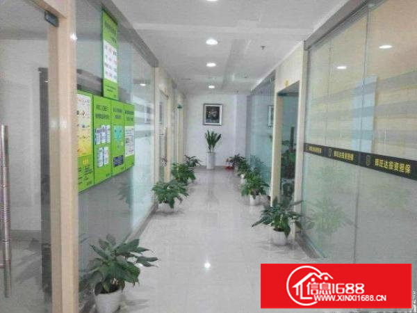 写字楼式厂房;精装修200、300、800平出租