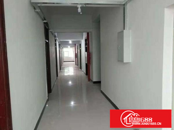 石湾新空出现成装修楼房，花园式厂房1000平方可整租可分租