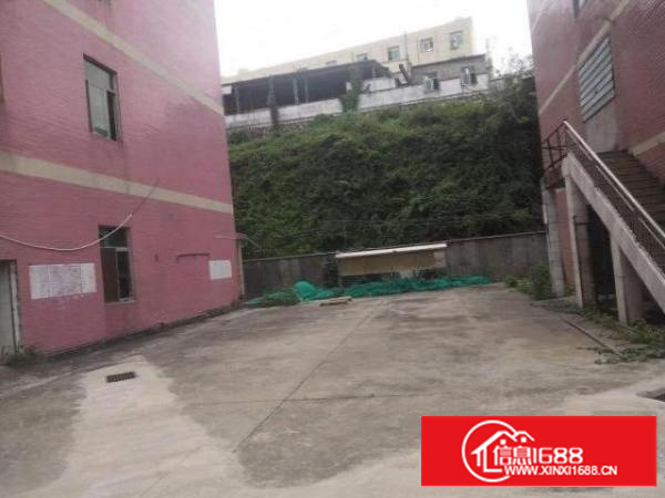 五联社区整栋4500平直接招租小院子可进小区租金实惠