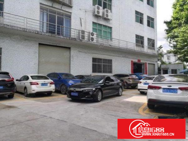 横岗安良新出12楼各1500平出租合同5年实际面积出租