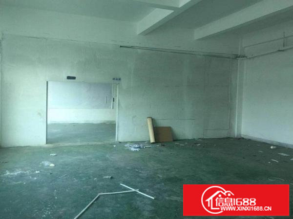 深圳龙岗新生新出楼上厂房