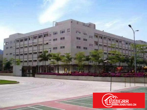 虎门小捷滘工业区新出3楼精装厂房2500平可200平起分