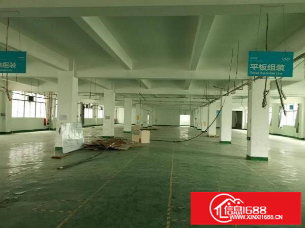 坂田上雪科技园一楼1350平出租