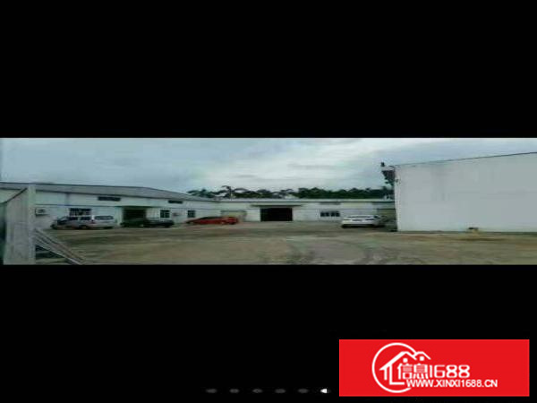 惠阳镇隆原房东独院钢构厂房5000平米10元招租