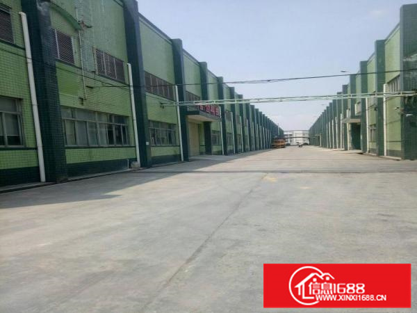 镇隆工业区附近独院钢构厂房11000平米，滴水8米