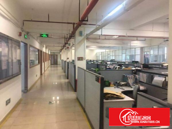 出租沙头角整层厂房情况特殊价格超低