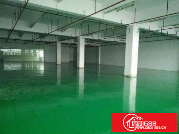 厂房是三楼整层，不是顶楼，格局实用，光线明亮。