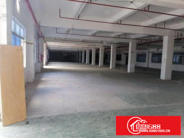 原房东独门独院，院子大，可办环评，有消防喷淋