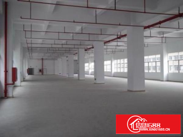 龙华大浪独院厂房可以分租