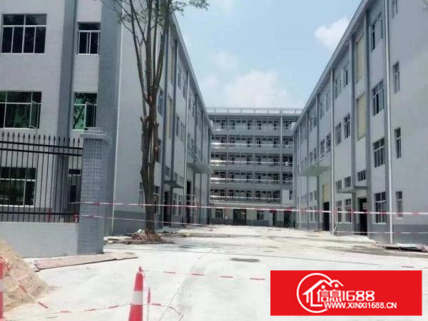 常平桥沥全新独院厂房12150平米急租