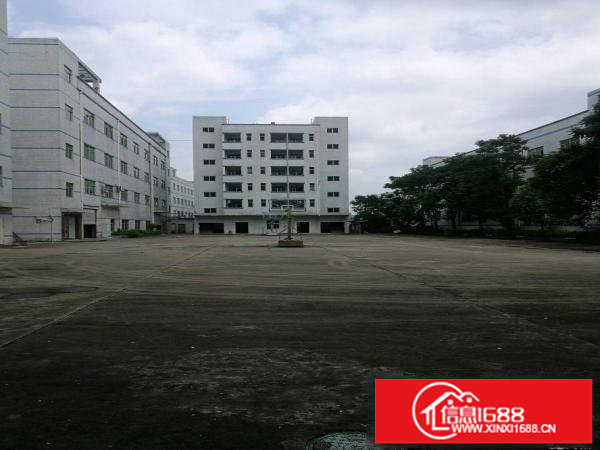 龙岗镇一楼1000平方米招租