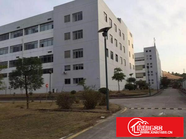 龙岗宝龙单层面积6500平米厂房出租2楼可分租