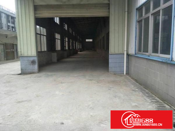 镇隆厂房路边8米高2800平米出租（可分租）