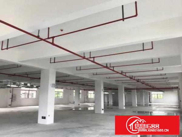 佛山市紫光阁红木制品公司新建厂房招租！18-20元/平方/月