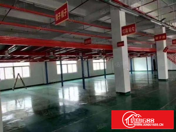 公明上村新出1楼1000平方独立空地1500平,楼层高6米