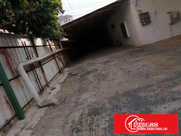 东莞市塘厦镇林村原房东独院钢构，价格美丽，地段优越，进出方便